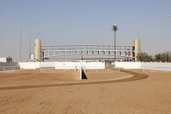 Dubai Camel Race Cours — Stockfoto