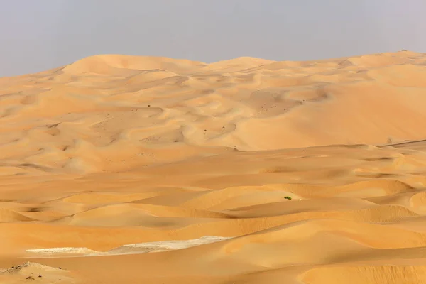 Sanddyner i Liwa oasen, Förenade Arabemiraten — Stockfoto