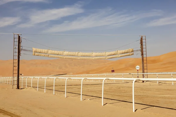 Camello pista de carreras en el desierto —  Fotos de Stock