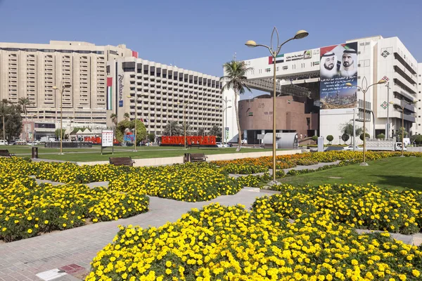 Bloemen in Dubai City — Stockfoto