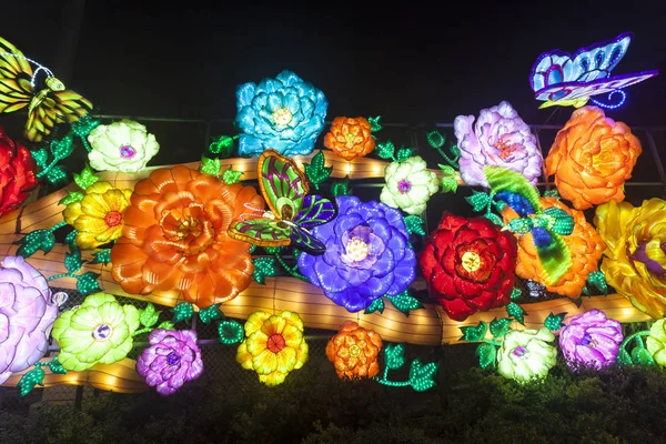 두 바이의 정원의 꽃 — 스톡 사진