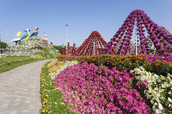 Parrots at the Miracle Garden in Dubai — Stock Photo, Image