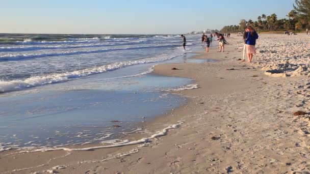 Stranden i naples, florida — Stockvideo