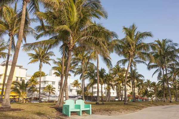 Parque em Miami Beach, Flórida — Fotografia de Stock