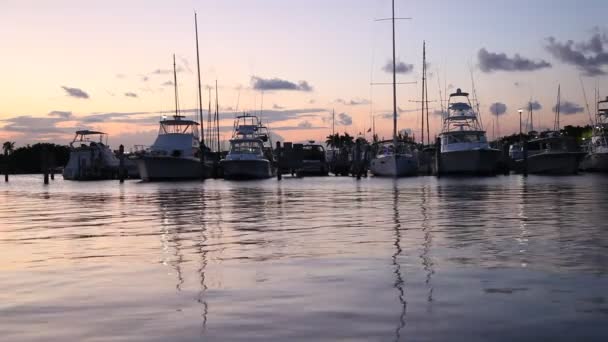 Boote in der Marina nach Sonnenuntergang — Stockvideo