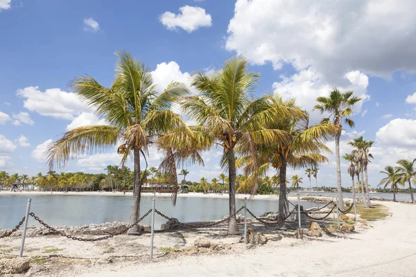 Strand in Miami, Florida — Stockfoto