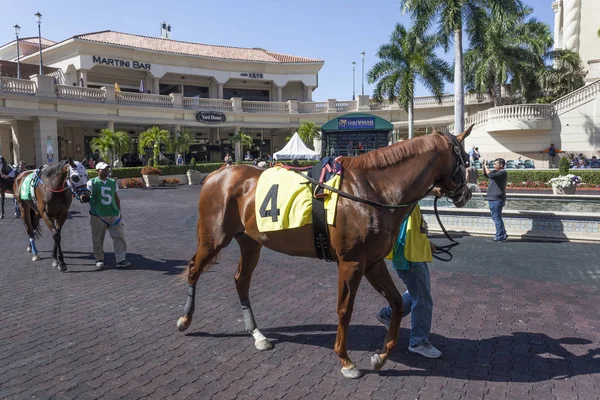 Wyścigi koni w Gulfstream Park, Floryda — Zdjęcie stockowe