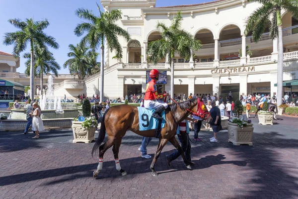 Wyścigi koni w Gulfstream Park, Floryda — Zdjęcie stockowe