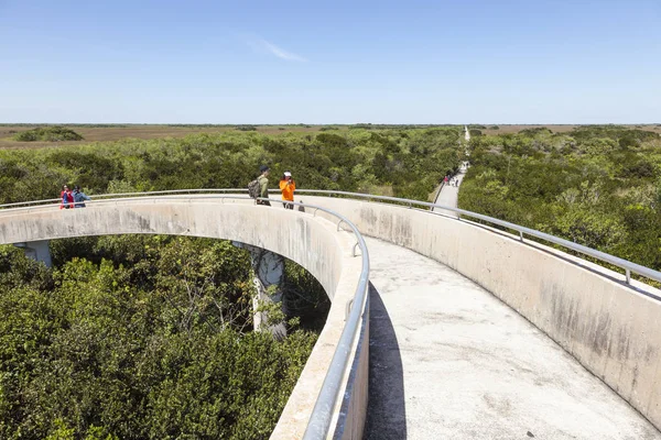 Everglades προβολή από έναν πύργο παρατήρησης — Φωτογραφία Αρχείου