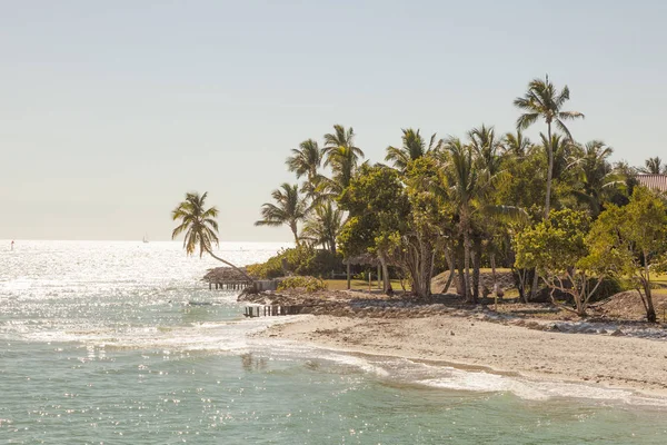 Stranden i naples, florida — Stockfoto