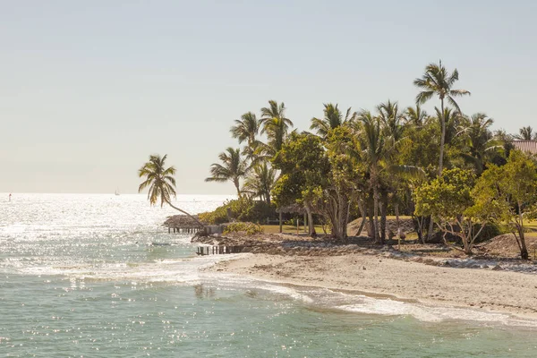 Naples, florida plaj — Stok fotoğraf