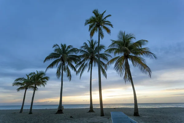 Salida del sol en la playa en Florida — Foto de Stock