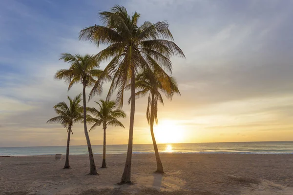 Salida del sol en la playa en Florida — Foto de Stock