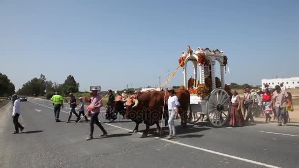 Pilgrimer med bull vagn, Andalusien, Spanien — Stockvideo