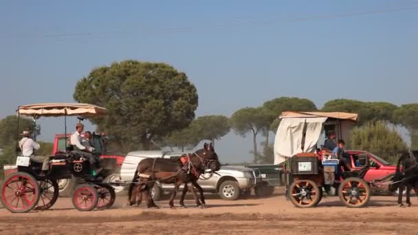 Паломники с лошадиной каретой в Эль-Росио, Испания — стоковое видео