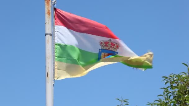 Bandera de La Rioja, España — Vídeo de stock