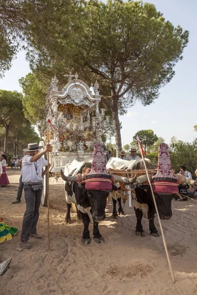 Peregrinos na estrada para El Rocio, Espanha — Fotografia de Stock