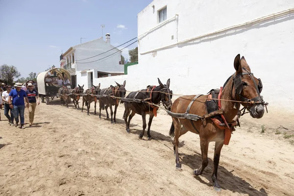 Pilgrims with a donkey cart in El Rocio, Spain — Stock Photo, Image