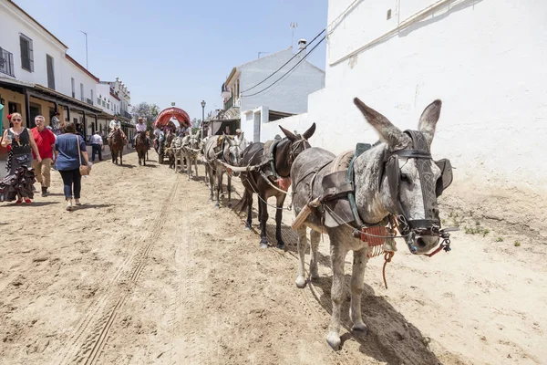 Pilgrims with a donkey cart in El Rocio, Spain — Stock Photo, Image