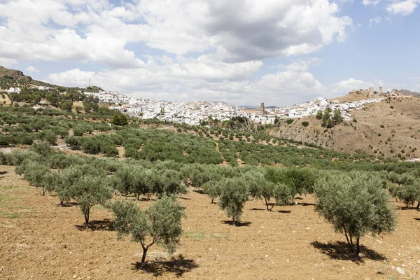 Villaggio andaluso Alora, Spagna — Foto Stock