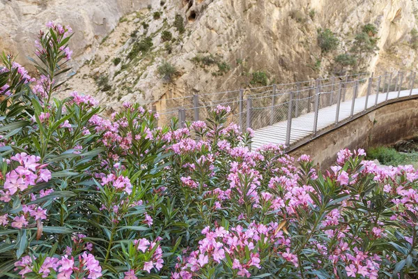 Túraútvonal Caminito del Rey. Malaga tartományban, Spanyolország — Stock Fotó