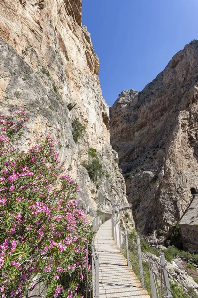 Hiking trail El Caminito del Rey. Malaga province, Spain — Stock Photo, Image