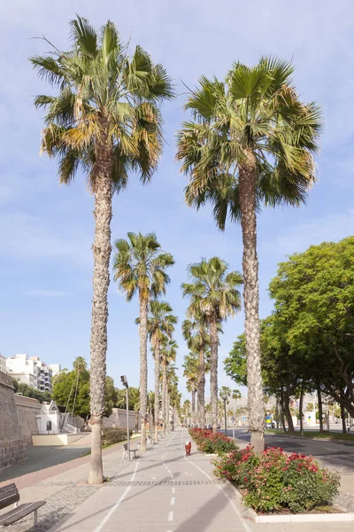 Promenade in Cartagena, Spanien — Stockfoto