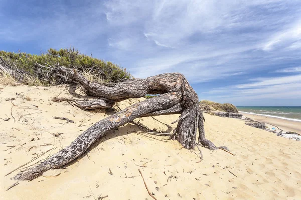 Plaża na wybrzeżu Atlantyku — Zdjęcie stockowe