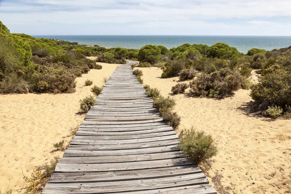 Houten wandelpad aan de Atlantische kust in Spanje — Stockfoto