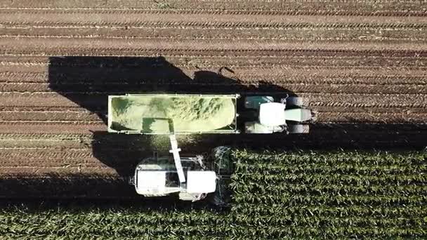 Cosechadoras en el campo — Vídeos de Stock