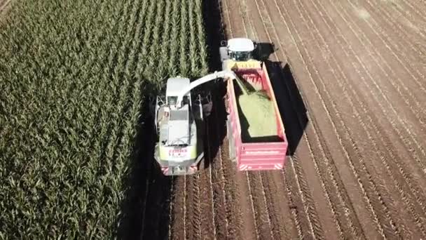 Machines de récolte sur le terrain — Video