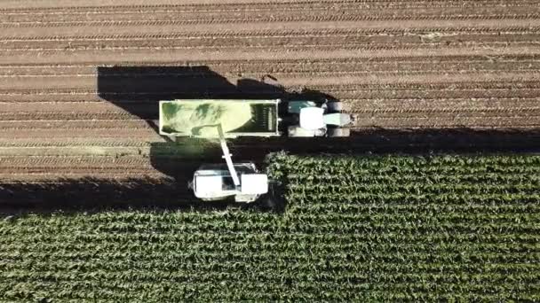 Máquinas de colheita em campo — Vídeo de Stock