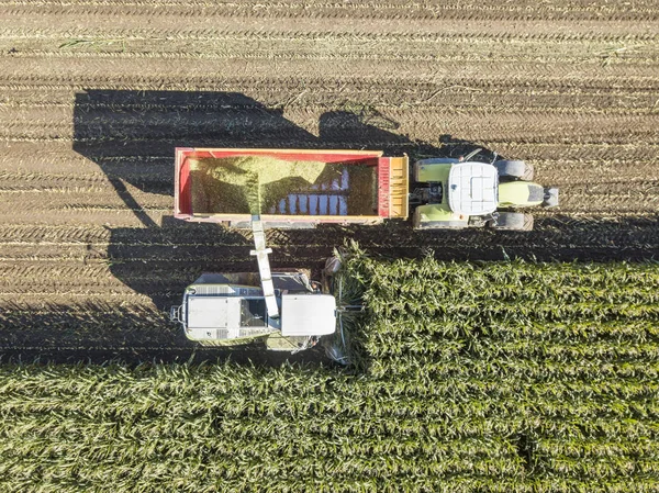 Aerial view of a harvest — Stock Photo, Image