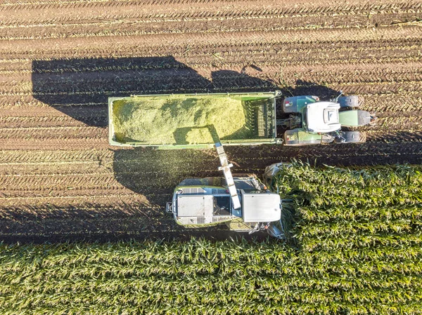 Aerial view of a harvest — Stock Photo, Image