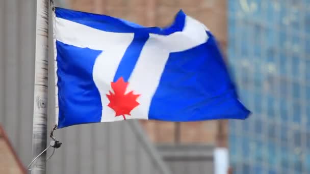 Флаг Торонто, Канада — стоковое видео