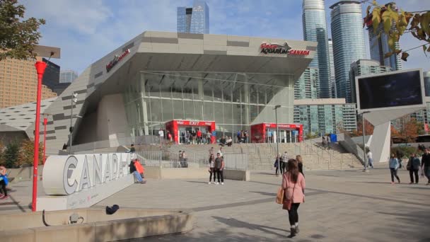 Kanada, Toronto Ripleys akvaryum — Stok video
