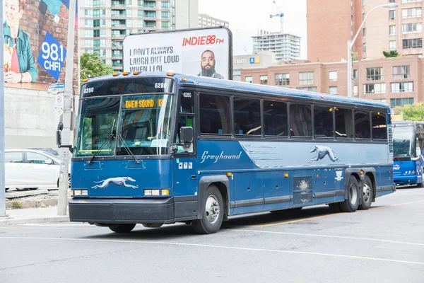 Greyhound bus intoronto, Canada — Stockfoto