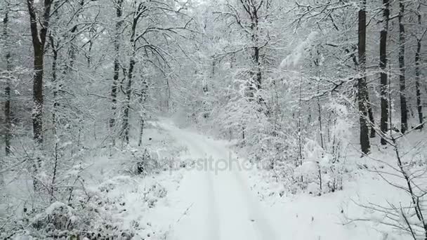 Drohnenaufnahmen Einer Schneebedeckten Straße Einem Schneeweißen Winterwald — Stockvideo