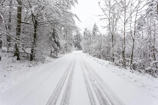 Estrada em uma floresta de inverno branco — Fotografia de Stock