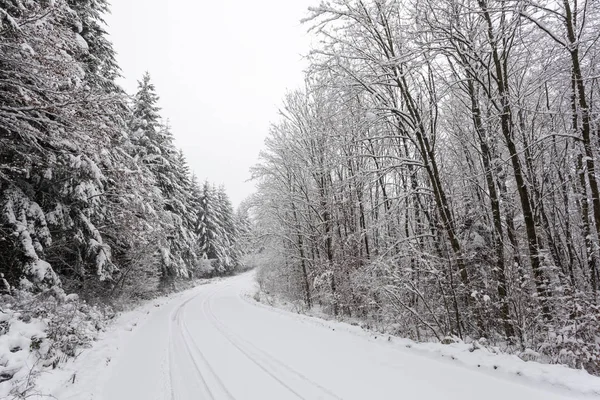 Road in a white winter forest — Stock Photo, Image
