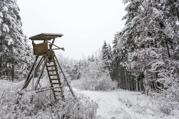 La caza se esconde en invierno — Foto de Stock