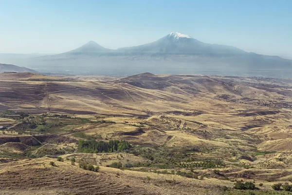 Ararat Dağı 'nın zirveleri sarı soluk alanda