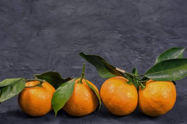 Siyah arka planda yapraklı turuncu mandalinalar