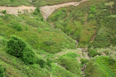Dağların eteklerindeki dağlık çayırlarda yabani ot ve kayalar. Kayalık patika yamaçtan aşağı iniyor..