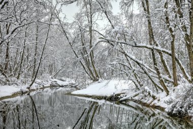 Zima w lesie nad rzekaLech - Niemcy - Bawaria 