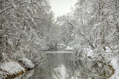 Zima w lesie nad rzekaLech - Niemcy - Bawaria 
