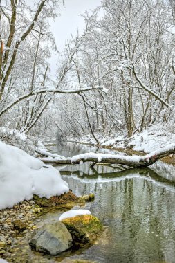 Zima w lesie nad rzekaLech - Niemcy - Bawaria 