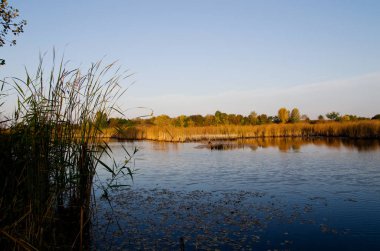 Gölün üzerinde gün doğumu