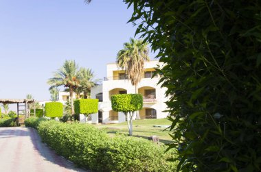 Otel palmiye ağaçları ile yeşil bir alanda