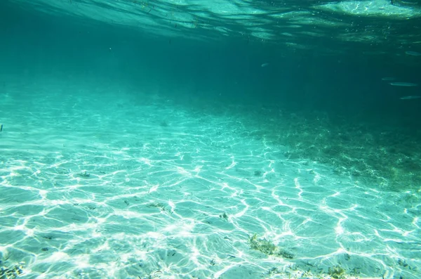 Underwater landscape with bottom — Stock Photo, Image